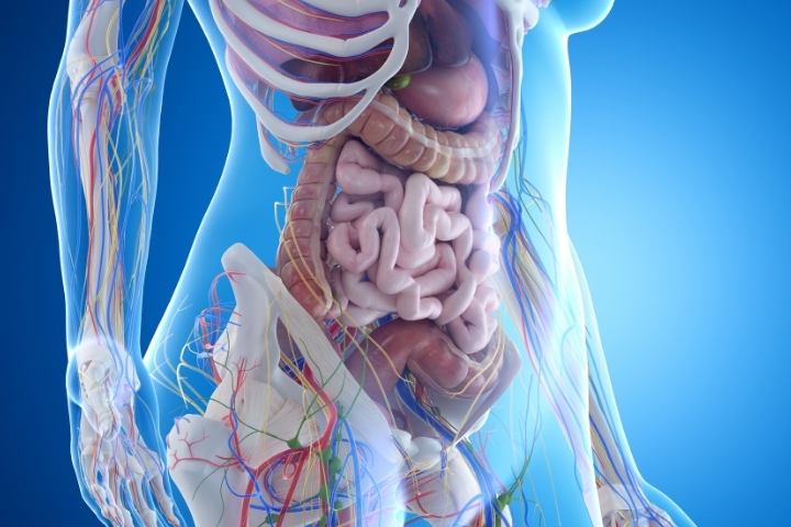 Biology GCSE Revision Course